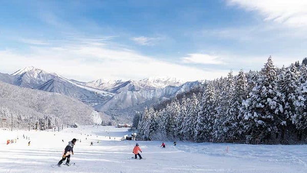 【新宿朝発】ぶっとび!日帰りスキー&スノボ|神立スノーリゾート(リフト券付)1